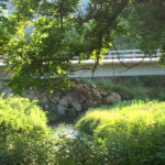 Walk to the Big Green River trout stream
